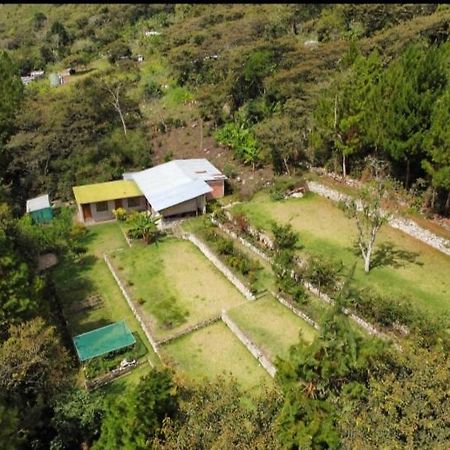 Lucmabamba Lodge Santa Teresa  Luaran gambar