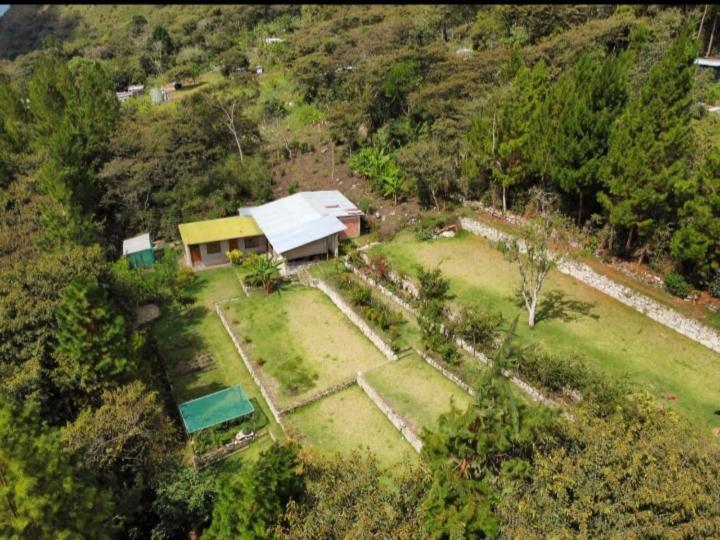 Lucmabamba Lodge Santa Teresa  Luaran gambar