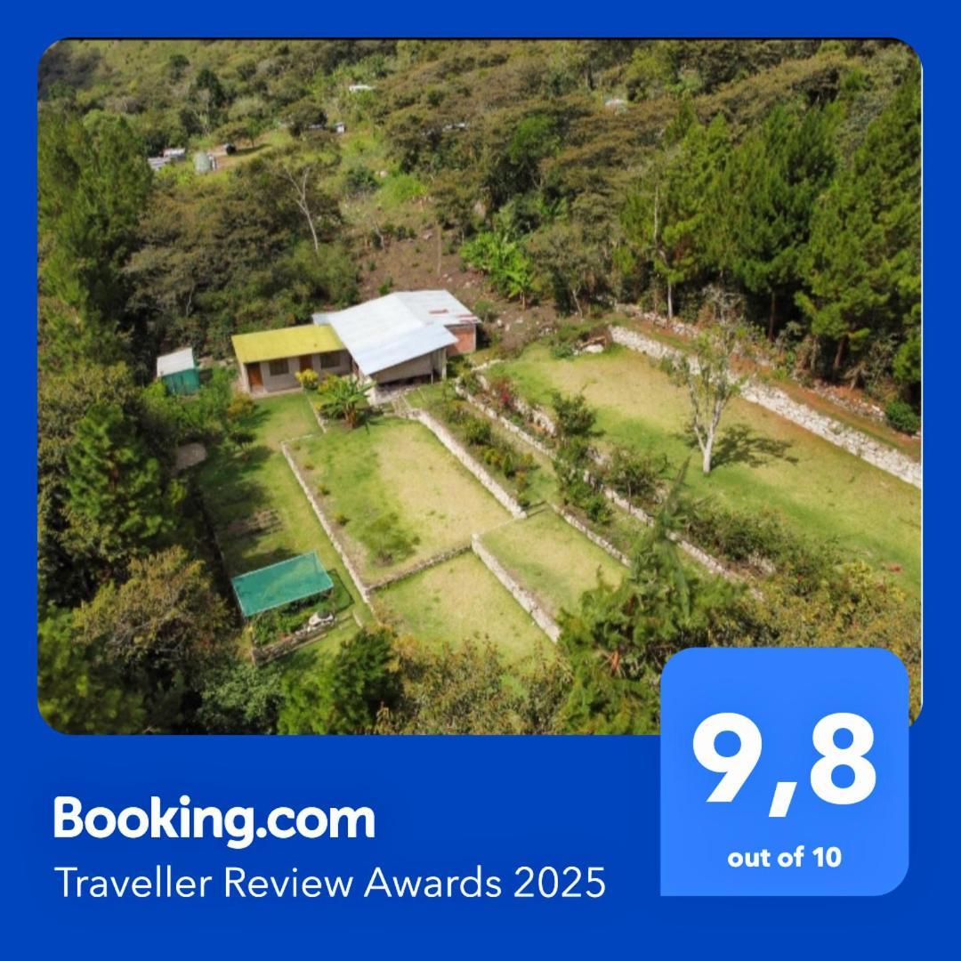 Lucmabamba Lodge Santa Teresa  Luaran gambar