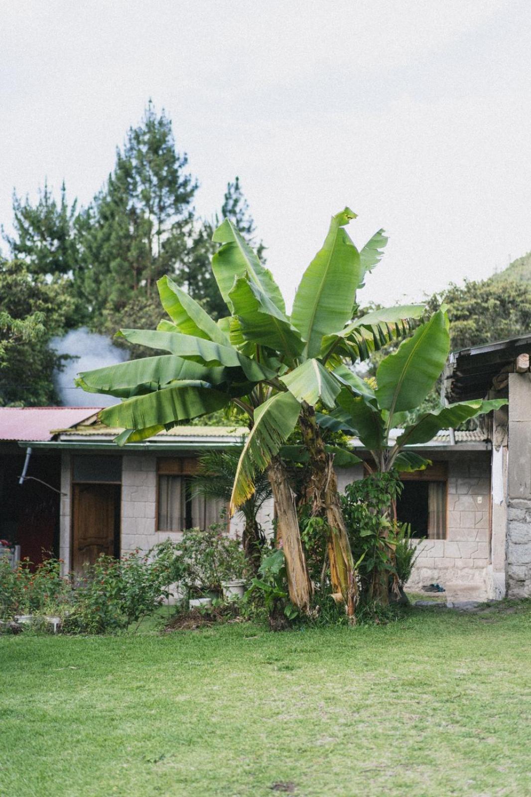 Lucmabamba Lodge Santa Teresa  Luaran gambar