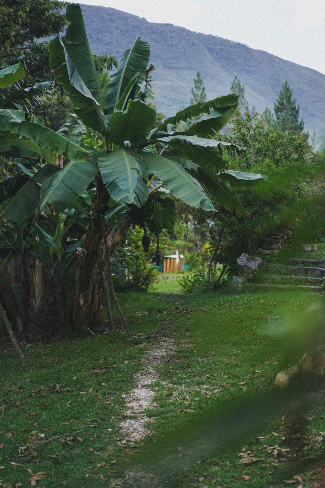 Lucmabamba Lodge Santa Teresa  Luaran gambar